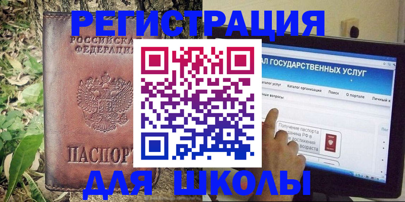 прописка для школы в Сертолово